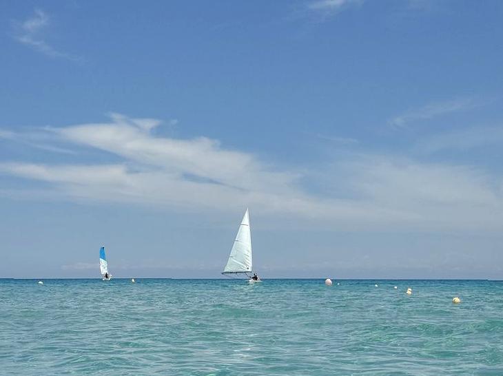 Embrace the Waves: Learn to Sail and Navigate the Open Sea.