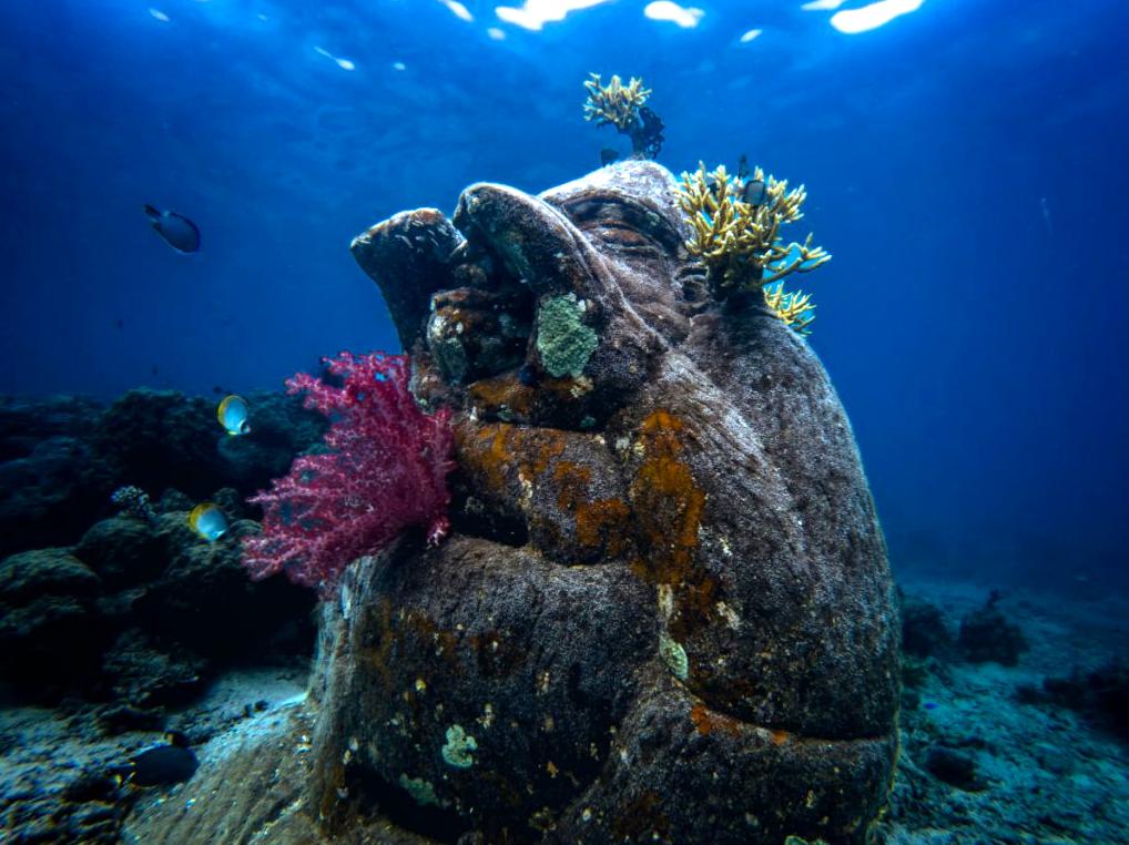 Visiting Artistic Treasures in the Ocean Depths