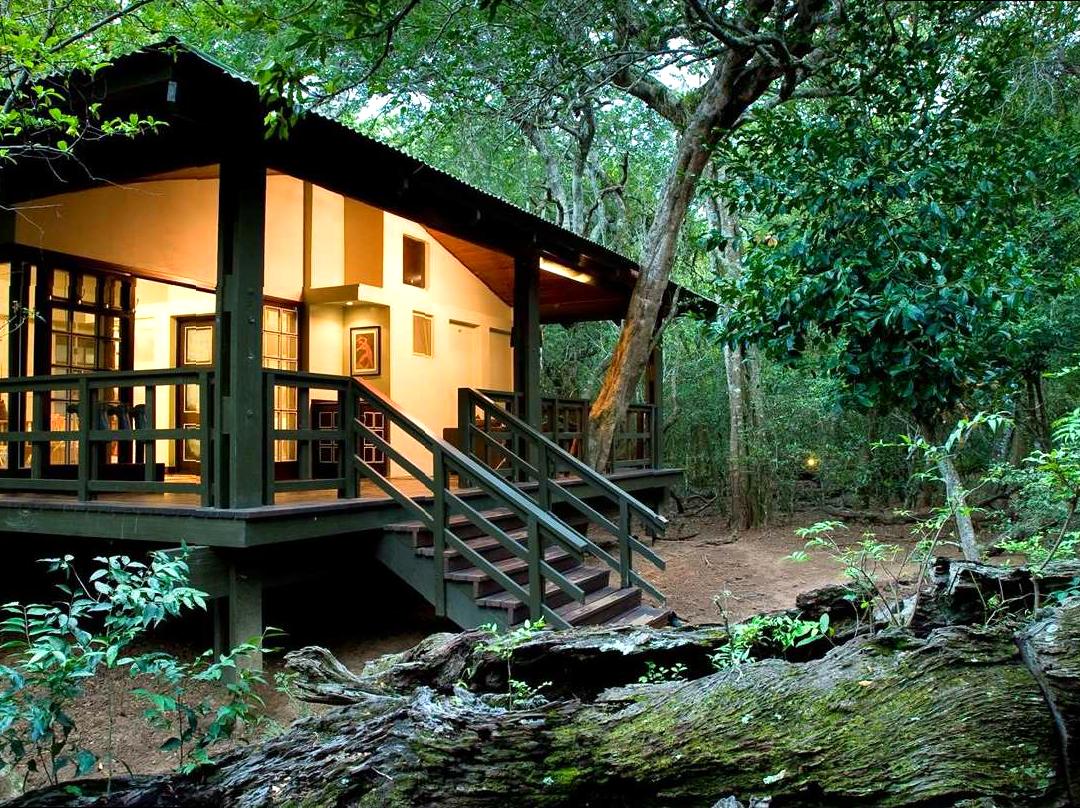 Exploring Sustainability at an Eco-lodge Retreat