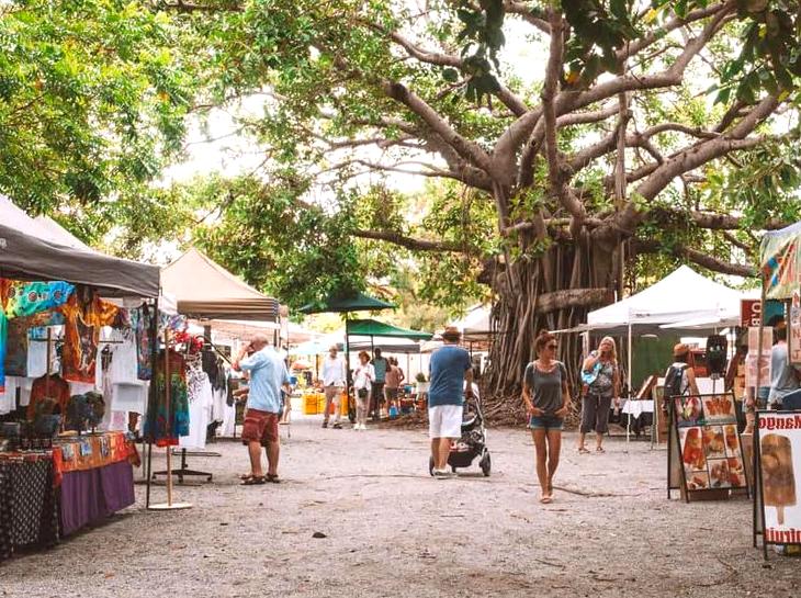 Specialty Shopping Adventures in Port Douglas