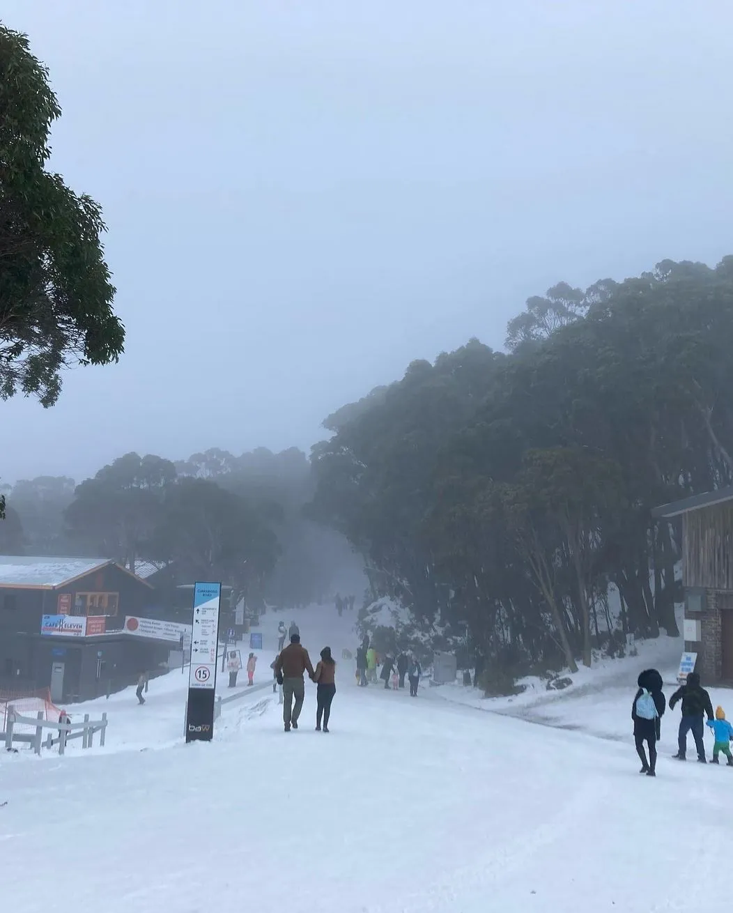 Mt Baw Baw