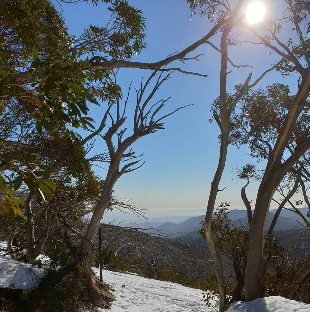 Mt Stirling